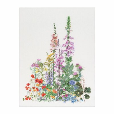 Thea Gouverneur 554  kit point de croix  Fleurs sauvage