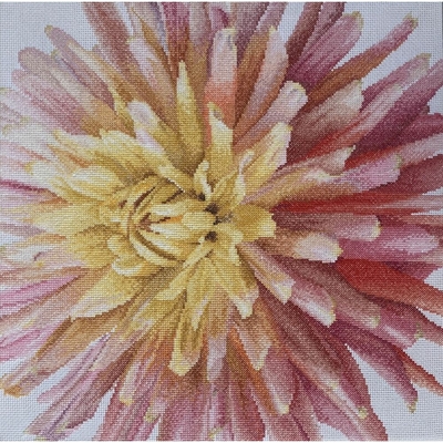 Thea Gouverneur 441  kit point croix compté  Dahlia