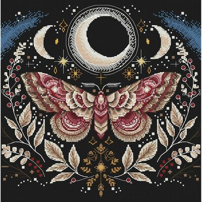 Ava P035  kit point croix  Papillon de nuit