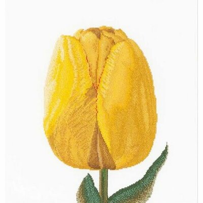 Thea Gouverneur 522  Kit point de croix  Tulipe jaune