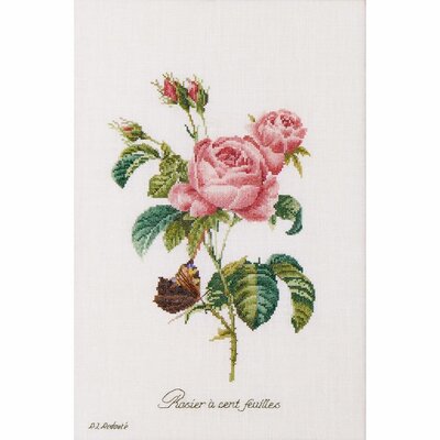 Thea Gouverneur 2030  kit point croix compté  Rose redouté