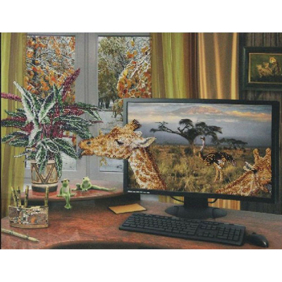 20511 SC 1000