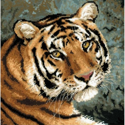 Tigre rêveur  1282  RIOLIS