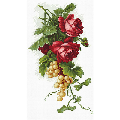 Roses rouges et Raisins - Luca-S  B2229