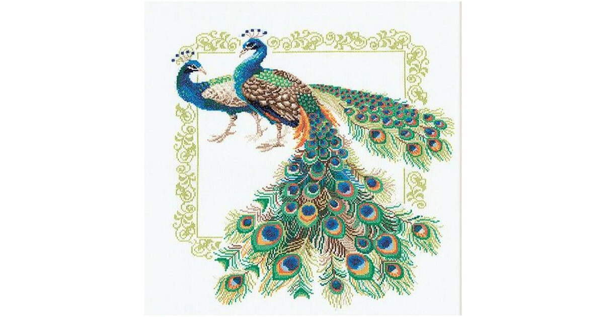 Kit Point De Croix Compté 'Paon Indien' - Tissu Aïda 14, Fils Pré-triés, Aiguille, 22x38 Cm