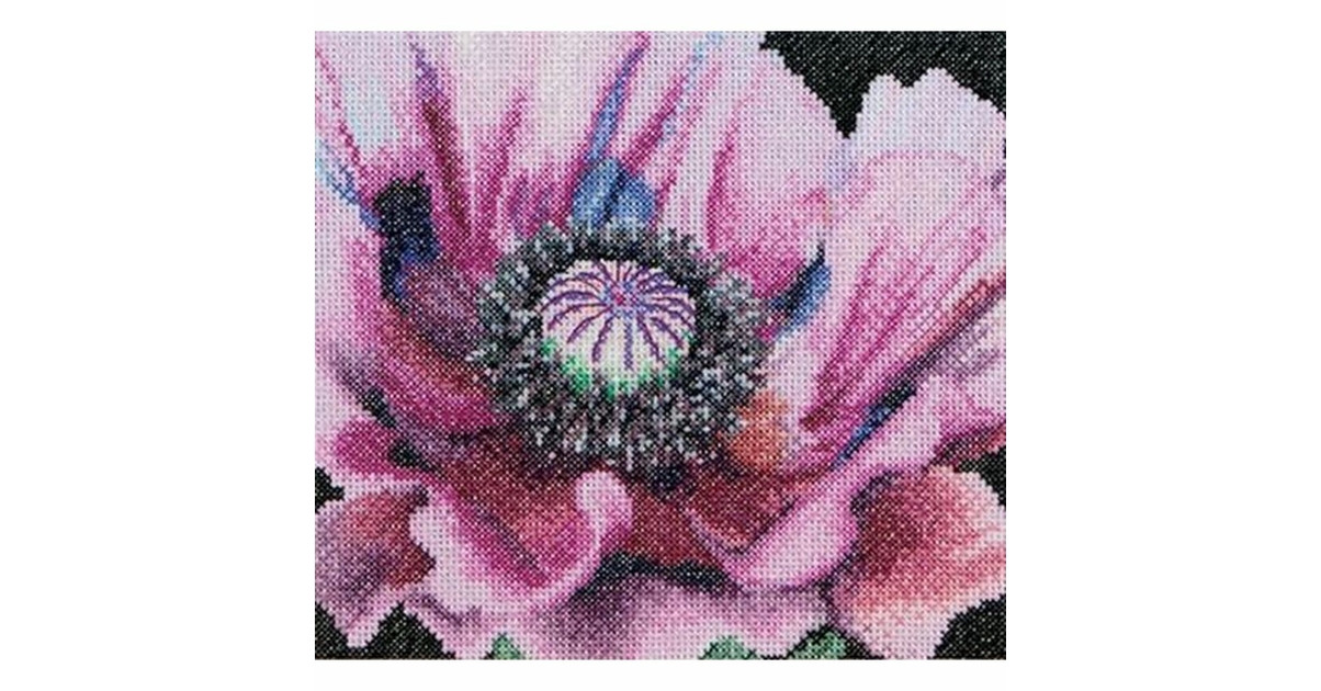 Kit Point De Croix Compté Coquelicots 546A - Thea Gouverneur - Toile Aida