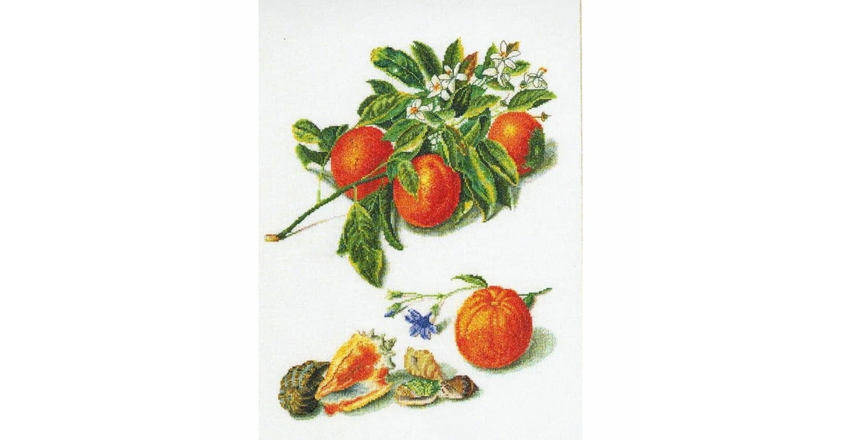 Thea Gouverneur, Kit Coquelicots, Blé Et Bleuets (G0842) - Au Point-Compté