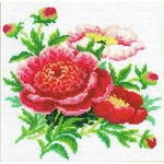 RTO M074 pivoine AZ