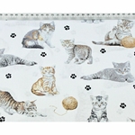 cotton-beige-cats-on-white-background (1)
