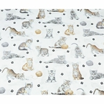 cotton-beige-cats-on-white-background