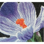 Thea Gouverneur 487A - crocus - kit point de croix compté - La-Brodeuse