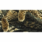 Riolis 937 - léopard - kit point de croix compté - cb