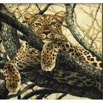 Riolis 937 - léopard - kit point de croix compté - a