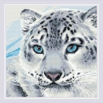 Riolis AM0040 - broderie diamant - léopard des neige -