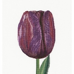 Thea Gouverneur 514 - tulipe - kit point de croix compté -