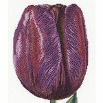 Thea Gouverneur 514 - tulipe - kit point de croix compté - 1