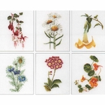 Thea Gouverneur 3084 - kit point de croix compté -