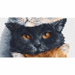Dutch Stitch Brothers - DSB012 - les trois chats - kit point de croix compté - 3