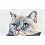 Dutch Stitch Brothers - DSB012 - les trois chats - kit point de croix compté - 2