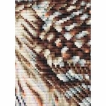 Dutch Stitch Brothers DSB014  Hibou  kit point de croix compté  3