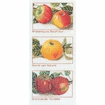 Thea Gouverneur 2082 - kit point de croix compté - variété de pommes - 1