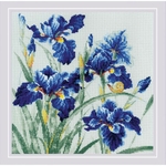 Riolis 2102 kit point de croix compté Iris bleus