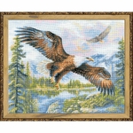 Riolis 1471 - kit point de croix compté - Aigle en vol - 4