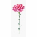 Thea Gouverneur 467 kit point croix compté Oeillet rose 1