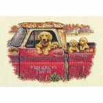 DIMENSIONS 70-35405 kit point croix compté Golden 4
