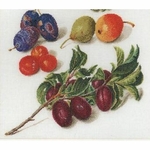 Thea Gouverneur 3062  kit point de croix compté  Pêches et prunes  3