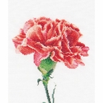 Thea Gouverneur 465  kit point croix  Carnation Red  2