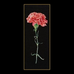 Thea Gouverneur 465-05  kit point croix  Carnation Red
