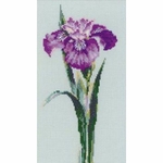 Riolis 1374  kit point croix compté  Irise violet  2