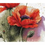 Luca-S B7024  kit point croix  Les fleurs de coquelicot  4