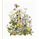 Thea Gouverneur 583  kit point croix  Le Jardin de Thea