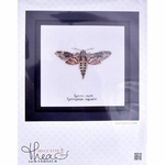 Thea Gouverneur 564  kit point de croix  Papillon Sphins  2