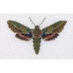 Thea Gouverneur 565  kit point de croix  Papillon de nuit Euphorbe  4