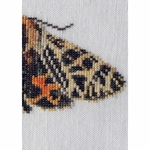 Thea Gouverneur 569  kit point de croix  Papillon Tigre  6