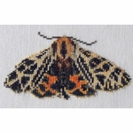 Thea Gouverneur 569  kit point de croix  Papillon Tigre  4