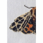 Thea Gouverneur 569  kit point de croix  Papillon Tigre  5