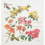 Thea Gouverneur 3066  kit point de croix compté  Roses