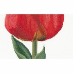 Thea Gouverneur 521  kit point de croix compté  Tulipe rouge  2