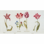 Thea Gouverneur 786  kit point de croix compté  Tulipes