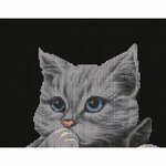 Dutch Stitch Brothers DSB029  kit point croix  chats  2