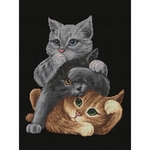Dutch Stitch Brothers DSB029  kit point croix  chats