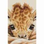 Luca-S B2425  kit point croix compté  Le bébé girafe  5