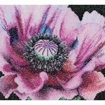 Thea Gouverneur 491  kit point de croix compté  Coquelicot