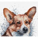 Luca-S BC212  kit point croix  Welsh Corgi  4
