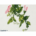 LanSvit  A002  kit point de croix compté  Fleurs de Liserons  3