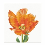 Thea Gouverneur  523  kit point croix  compté  Tulipe Orange  2